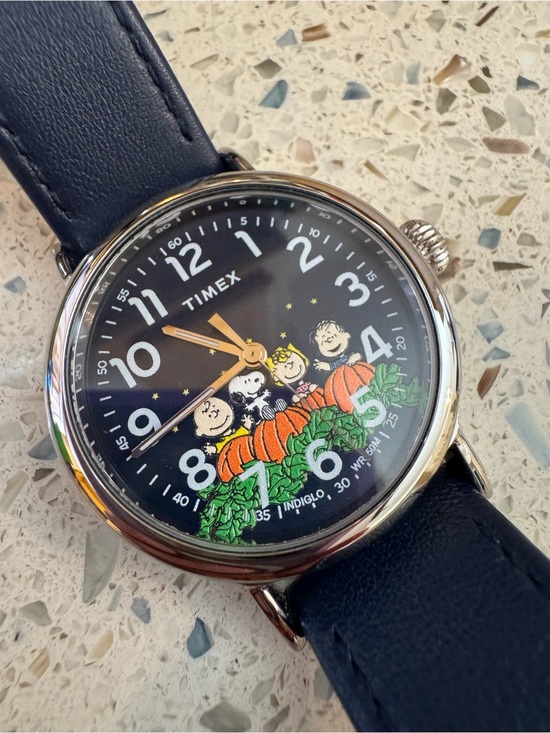 Timex Accessories - Timex Navy Dial Peanuts Pumpkin Watch with Blue Strap EUC